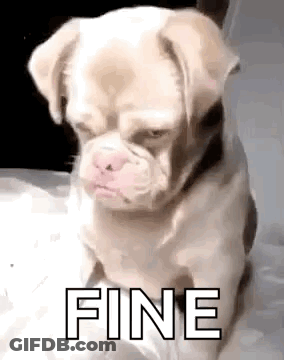 Small Dog Saying Fine GIF