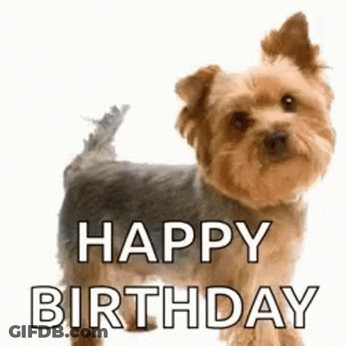 Small Dog Saying Happy Birthday GIF
