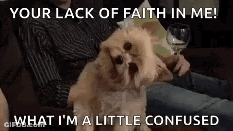 Small Dog Sitting With Wine Glass GIF
