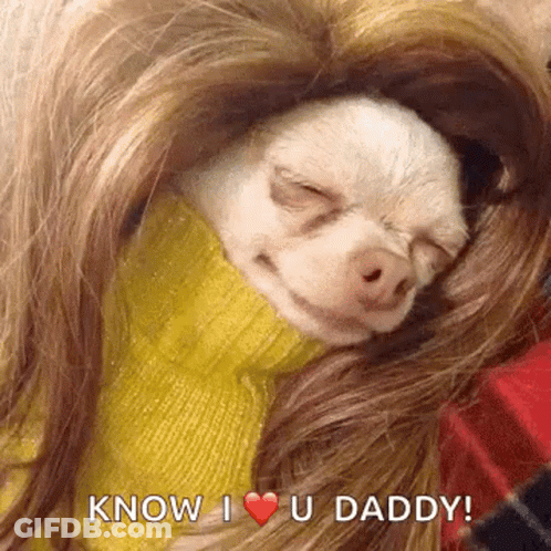 Small Dog Sleeping In Woman Hair Saying Know I Love U Daddy GIF