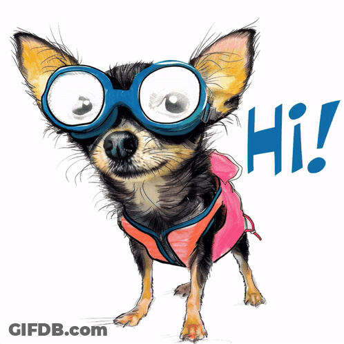 Small Dog Wearing Goggles And Vest Saying Hi GIF