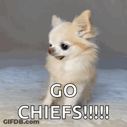 Small Dog With Go Chiefs On Face GIF