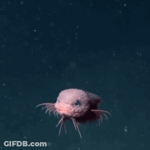 Small Fish Swimming In Blue Ocean GIF