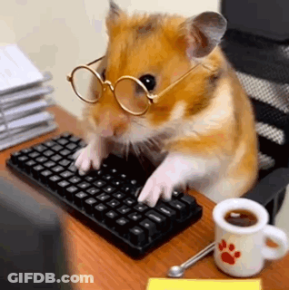 Small Hamster With Glasses Typing GIF
