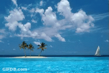 Small Island With Palm Trees And Sailboat GIF