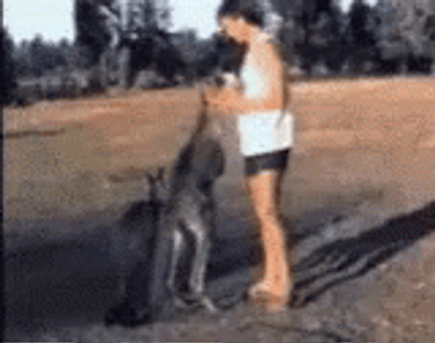 Small Kangaroo Kick GIF