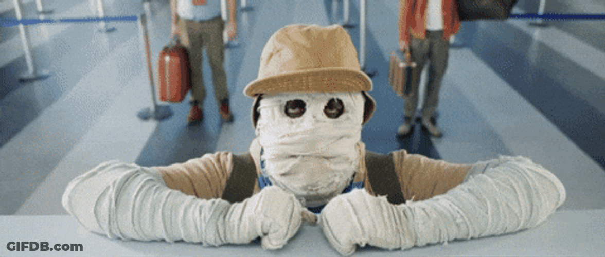 Small Mummy Passport GIF