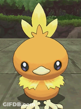 Small Orange Bird With Yellow Feather On Sidewalk GIF