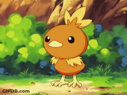Small Orange Bird With Yellow Feathers GIF
