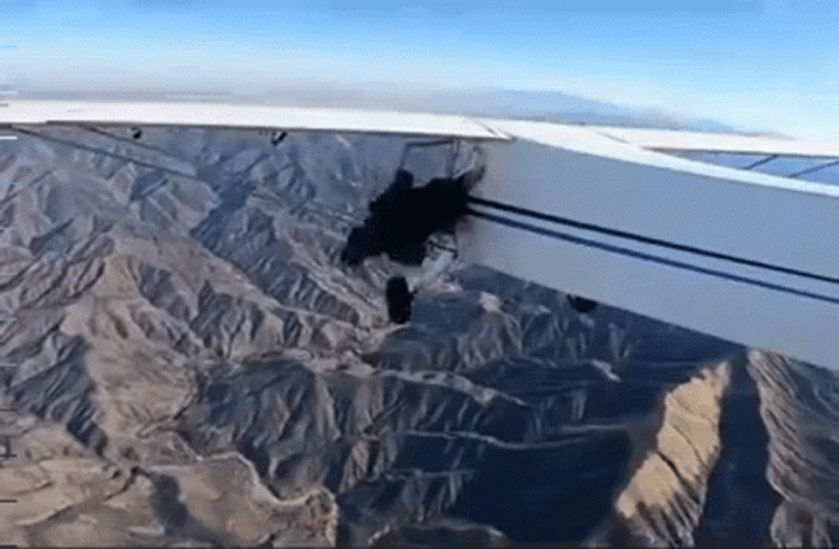 Small Plane Crash GIF