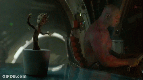 Small Plant In Pot Next To Man In Red Shirt GIF