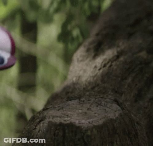 Small Robot Sitting On Tree Branch GIF