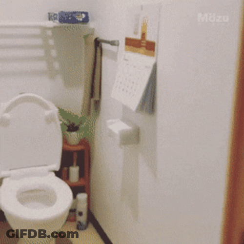 Small Space Bathroom GIF