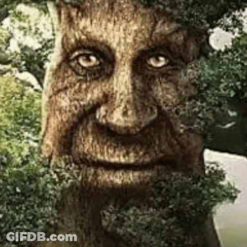 Small Squirrel Sitting On Tree Branch GIF