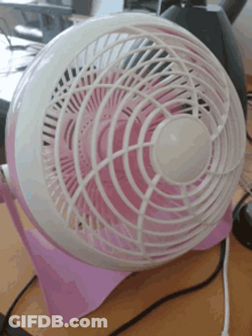Small Steady Electric Fan GIF