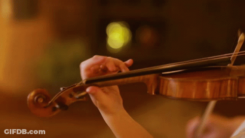 Small Violin She's Always Crying GIF
