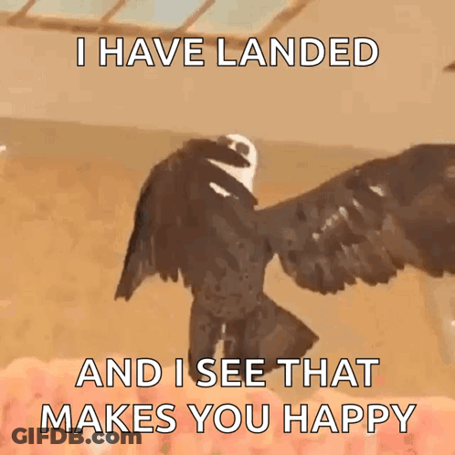 Small White Bird Saying Early Bird GIF