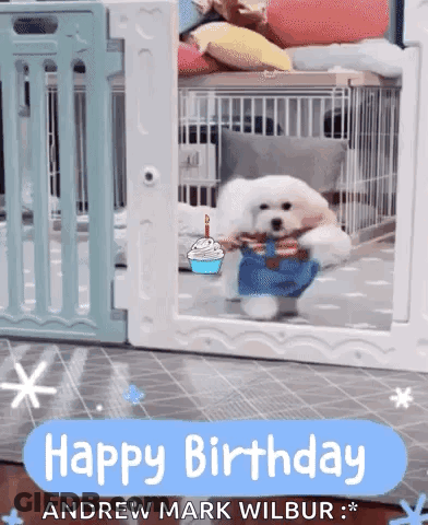Small White Dog Holding Cupcake And Birthday Cake GIF