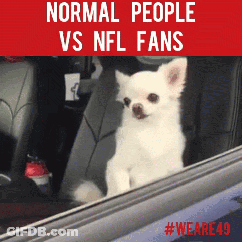 Small White Dog Looking Out Car Window GIF