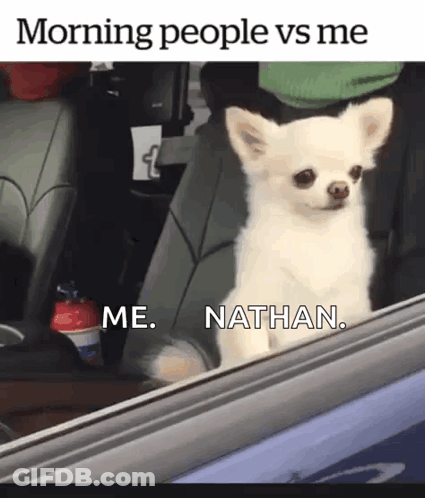 Small White Dog Looking Out Car Window Saying Morning People Vs Me Me Nathan GIF