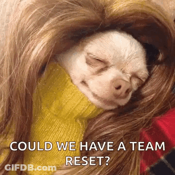 Small White Dog Sleeping In Woman Hair Could We Have A Team Reset GIF