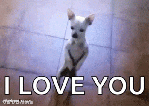 Small White Dog Standing Saying I Love You GIF