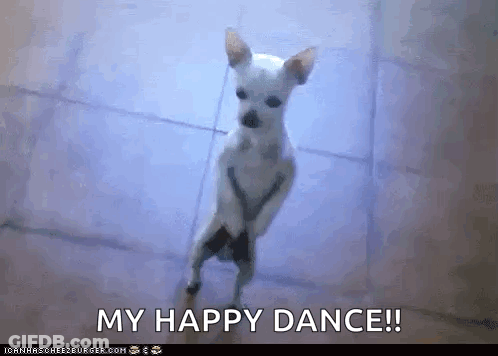 Small White Dog Standing Saying My Happy Dance GIF