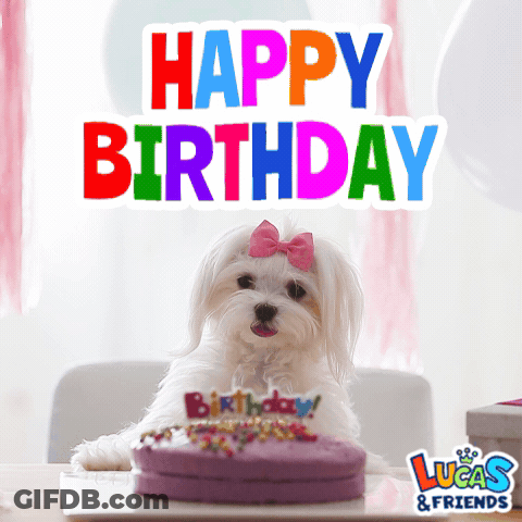 Small White Dog With Pink Bow Happy Birthday Cake GIF