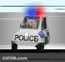Small White Police Car With Cat GIF