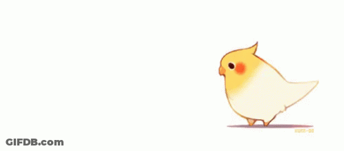 Small Yellow And White Bird Walking GIF