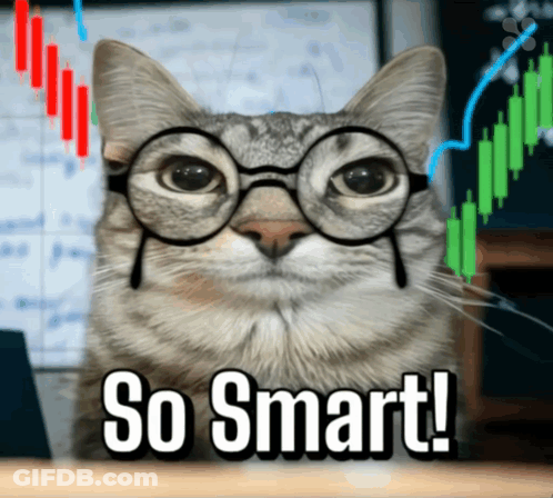 Smart Cat Wearing Glasses GIF