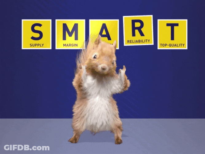 Smart Hands Up Dancing Squirrel GIF