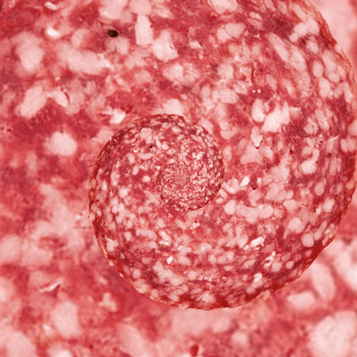 Smash Water Melon Hypnosis Spiral GIF