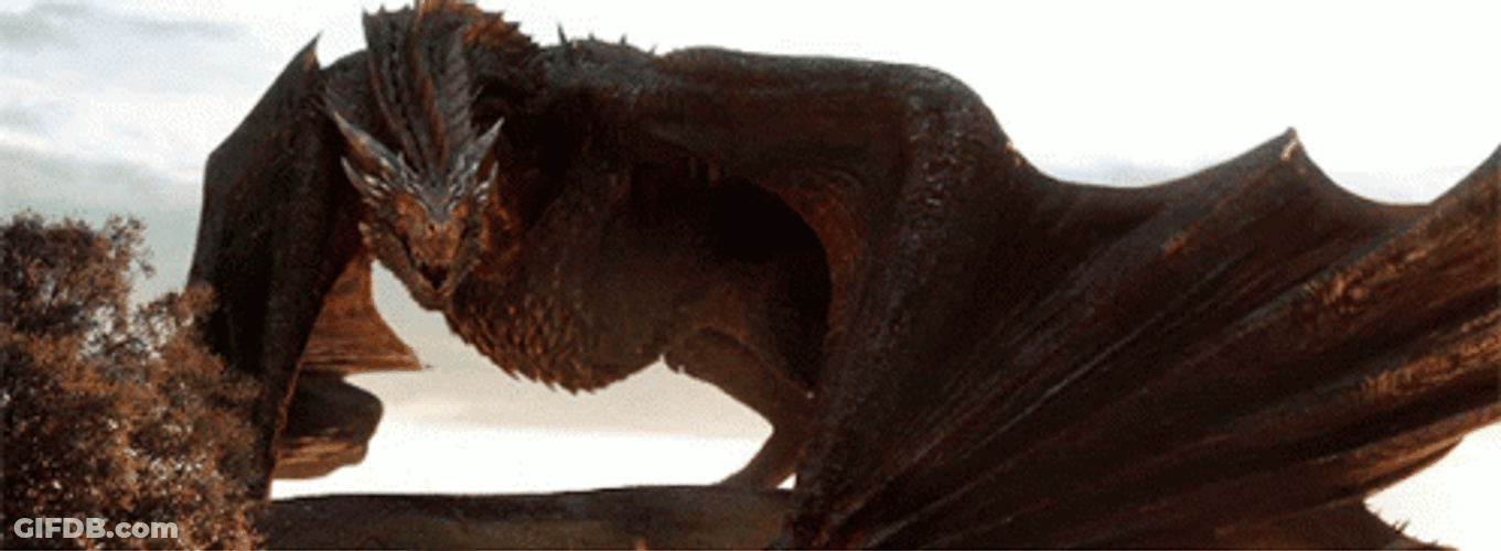 Smaug In Bright Day Light GIF