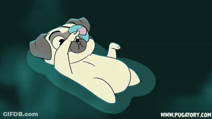 Smelly Pug Doggo GIF