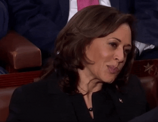 SMH Kamala Harris GIF