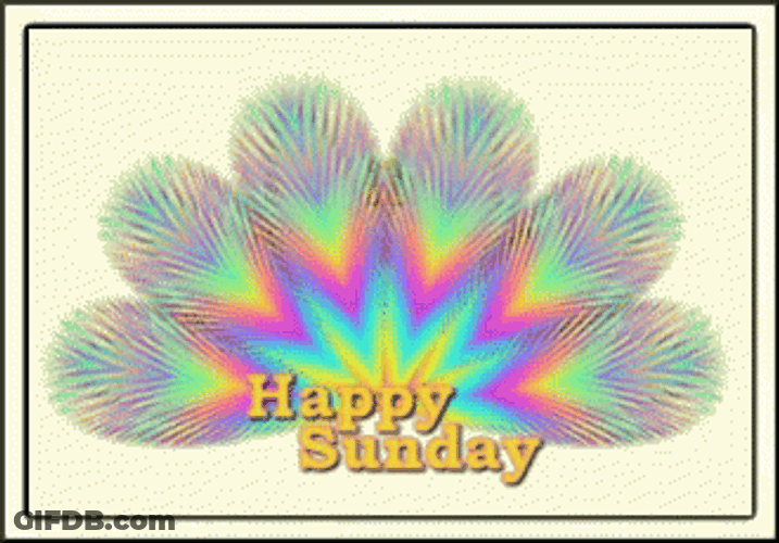 Smile Happy Fall Sunday GIF