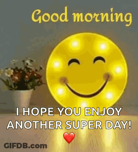 Smiley Face Sitting Next To Potted Plant GIF