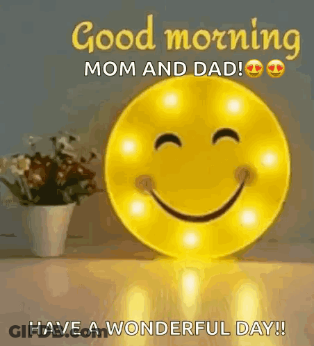 Smiley Face Sitting Next To Potted Plant GIF