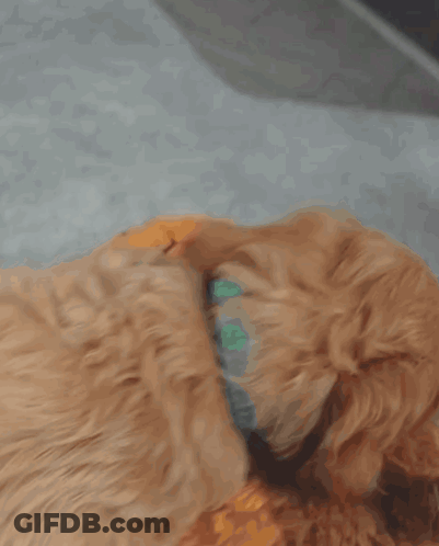 Smiley Face Waving Saying Hi Juke GIF