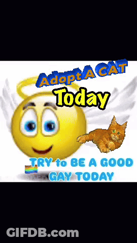 Smiley Face With Wings Adopt A Cat Today GIF