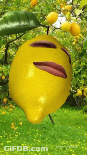 Smiley Lemon Face GIF
