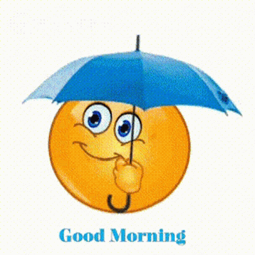 Smiley Rainy Good Morning GIF
