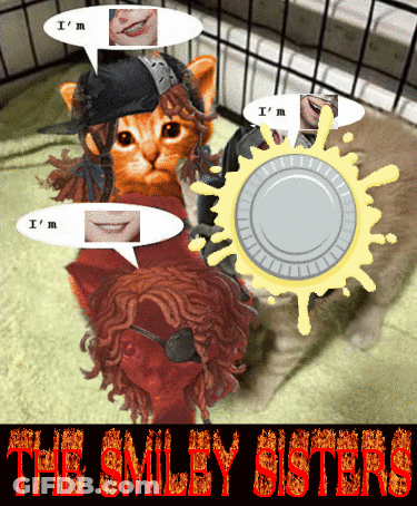 Smiley Sisters Cat And Woman Talking GIF