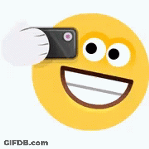 Smiley Sticker Selfie GIF