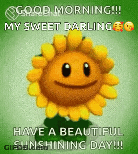 Smiley Sunflower Saying Good Morning GIF