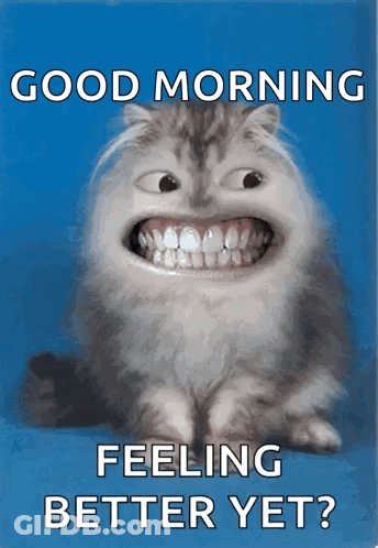 Smiling Cat Good Morning Feeling Better GIF