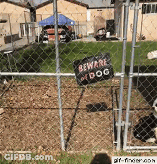 Smiling Dog Beware GIF