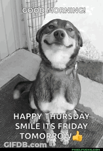Smiling Dog On Rug GIF