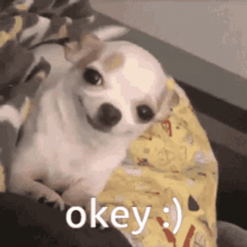 Smiling Dog Puppy Okey GIF